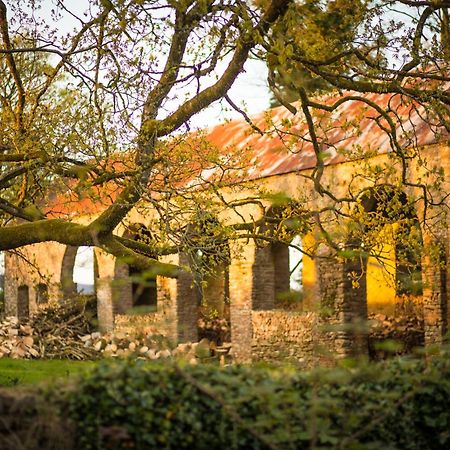 Отель Roundwood House Mountrath Экстерьер фото